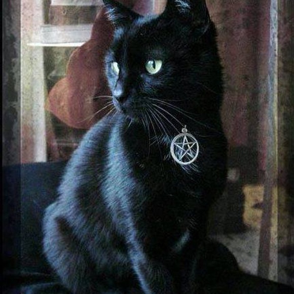 Witches Familiar Pentacle Cat Collar in Various Colors Adjustable - Picture 3 of 3